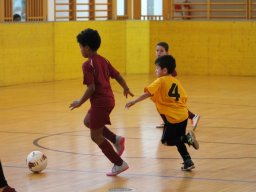 mini-IMG_6944